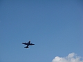 Western Michigan [2010] 461